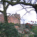 Powys Castle