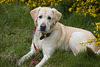 IMG 0411 Reina