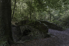 Brücke über den Elefantenbach (© Buelipix)