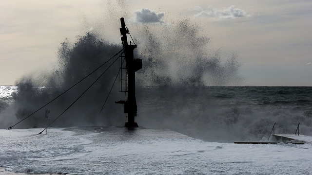 Mar ligure agitato (368)