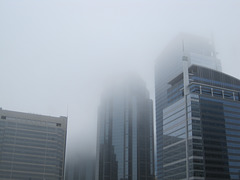 Fog day in Calgary Canada