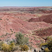 The painted desert25