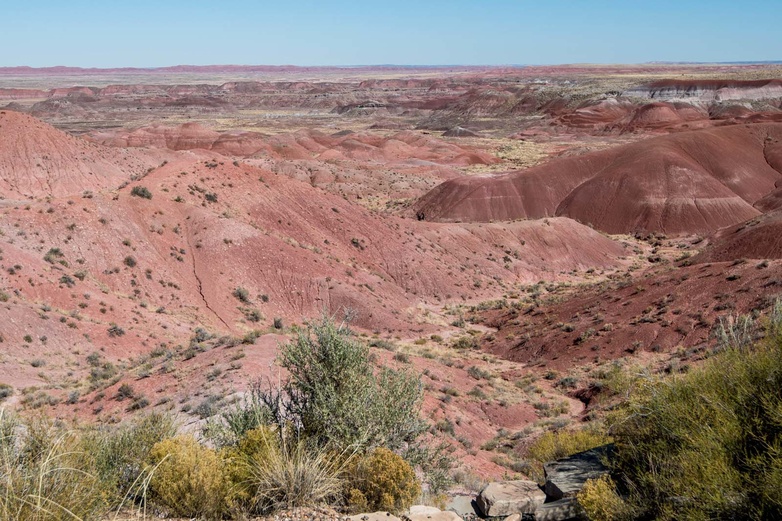 The painted desert25