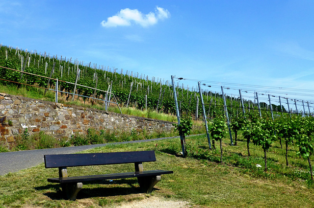 HBM aus den Weinbergen