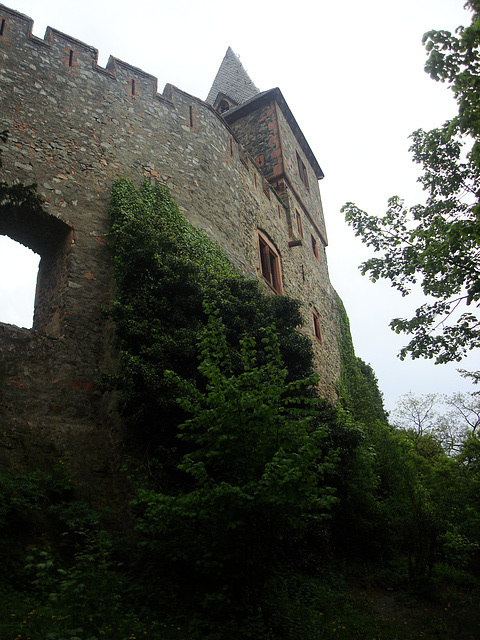 Auf der Burg Frankenstein