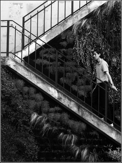 L'escalier