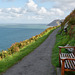 Valley of the Rocks: Coastal path