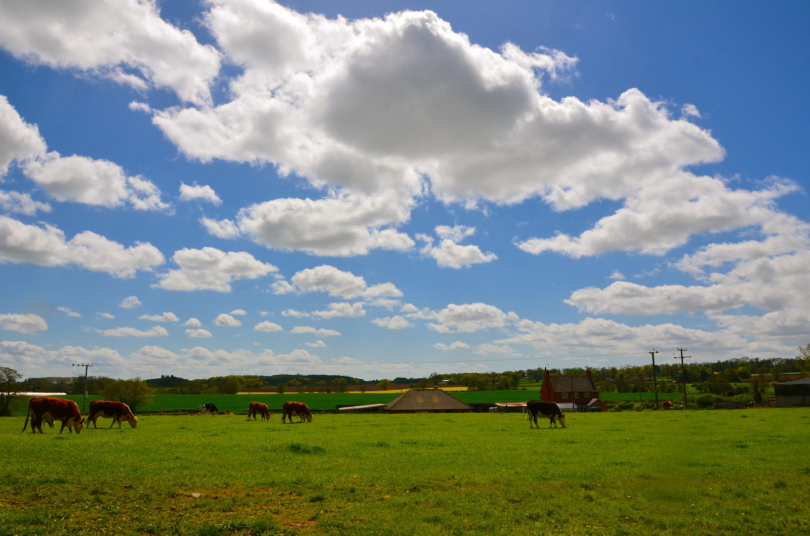 Gnosall fields