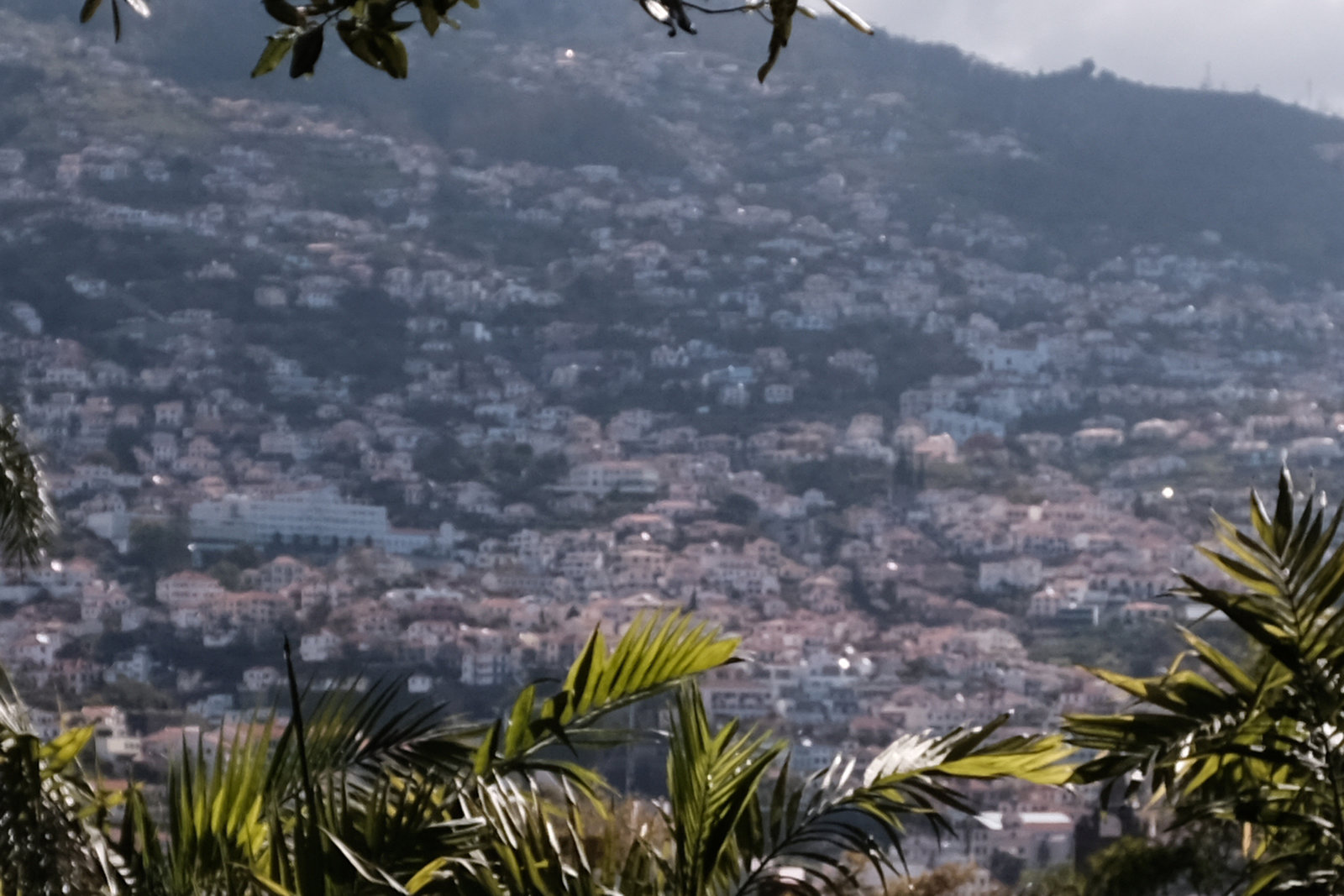 Madeira Funchal May 2016 X100T vs XPro2 toy 1a crop