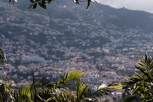 Madeira Funchal May 2016 X100T vs XPro2 toy 1a crop