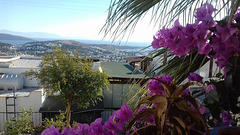 View from a friend's home looking over Bodrum