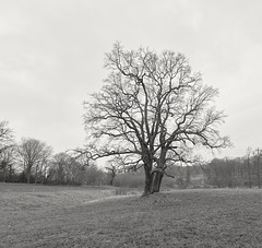 baum-4700-4701 P-03-02-2018sw