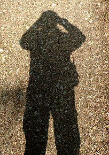 My shadow taking my picture...