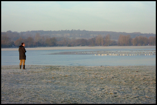 frosty morn in the meadow