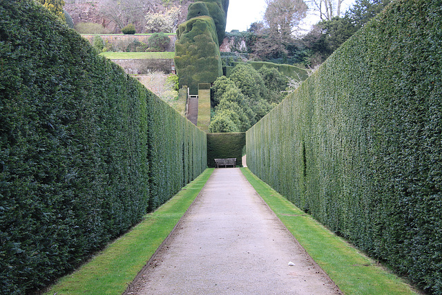 Long hedges