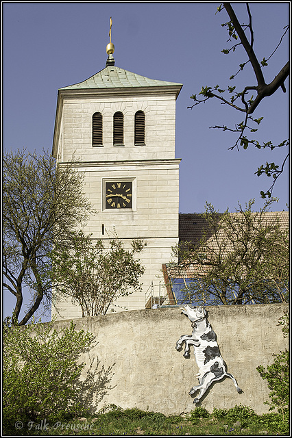 Kirchturm mit Schildauer Kuh