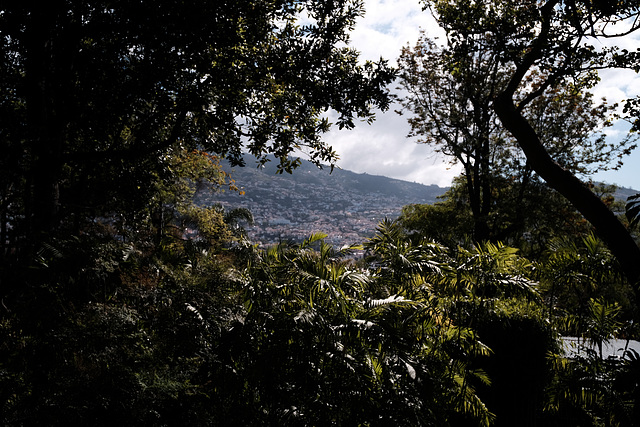 Madeira Funchal May 2016 X100T vs XPro2 toy 1a