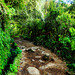 LEVADA DO CALDEIRÃO VERDE