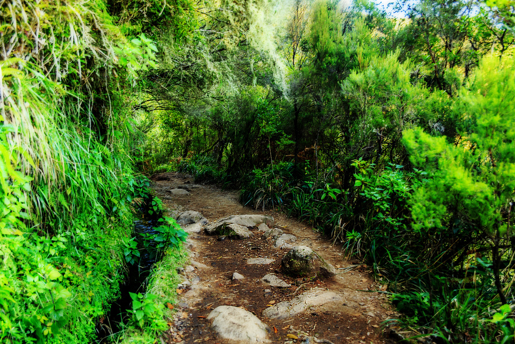 LEVADA DO CALDEIRÃO VERDE