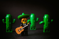 les cactus