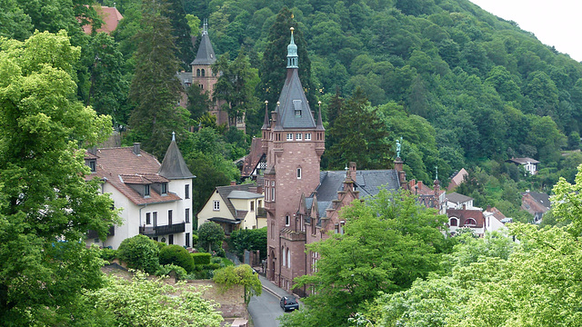 Blick vom Schloss Heidelberg