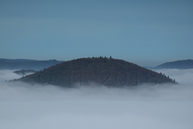 Rehberg, Annweiler am Trifels