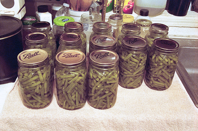 More Home Canned Green Beans