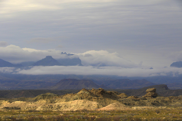 Big Bend Morning