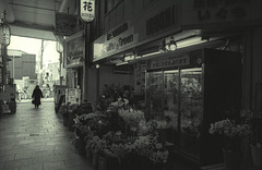AWAZI-06 -Flower shop-