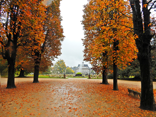 Herbstidylle im Pillnitzer Schlosspark