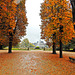 Herbstidylle im Pillnitzer Schlosspark