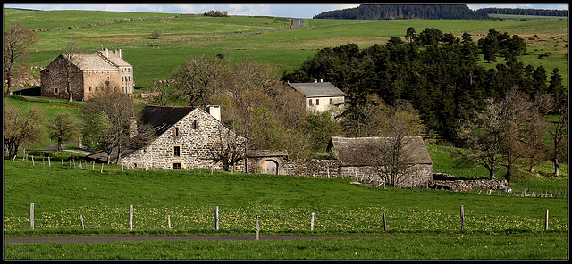 HFF - Paysage -Fermes du Mézenc