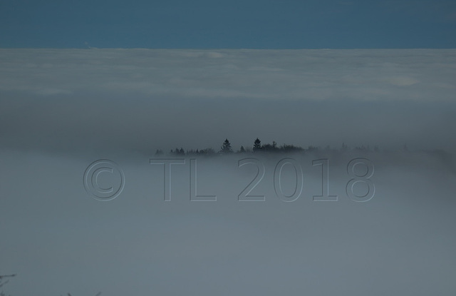 Rehberg, Annweiler am Trifels