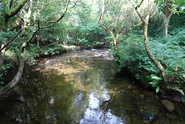River Arddu At Llanberis