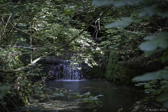 am Elefantenbach im Stöckentobel (© Buelipix)