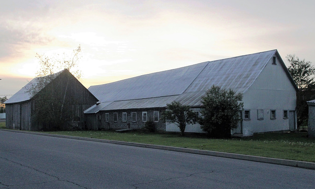 Farm eyesight for early birds