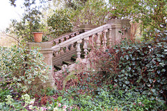 Steps to Terrace, site of Easton Lodge (demolished), Essex