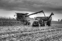 2018 Harvest Time