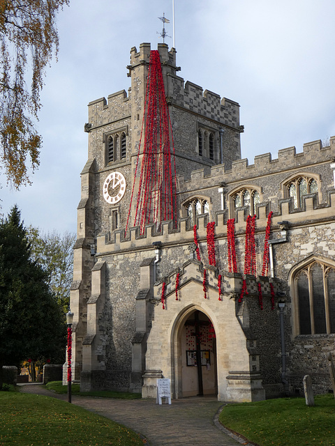 Armistice Centenary Poppies