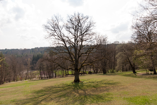 Schloss Fantaisie