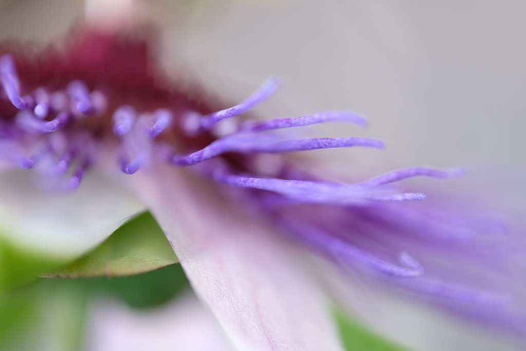 DSCF7659