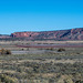 Driving to the painted desert20