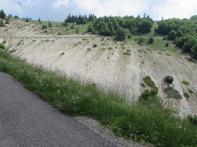 Montagne de LURE (1)