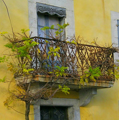 Balcon rouillé et son feuillage**************