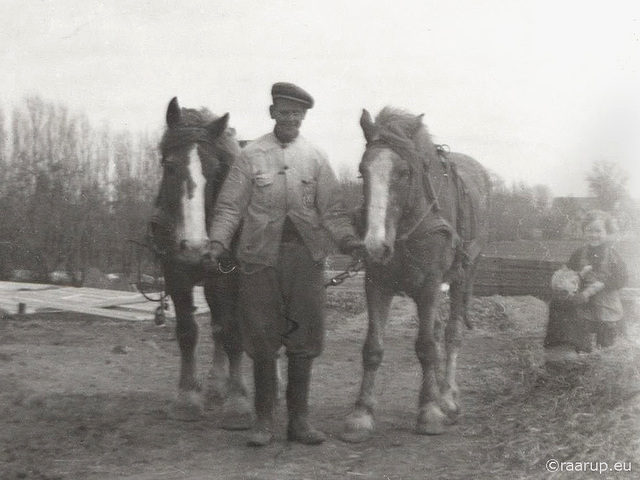 Our horses Per & Mikkel, ca.1956