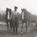 Our horses Per & Mikkel, ca.1956