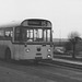 SELNEC PTE 6038 (KKV 700G) on Broad Lane - Jan 1972