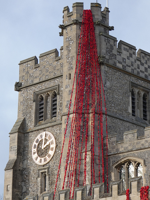 Armistice Centenary Poppies