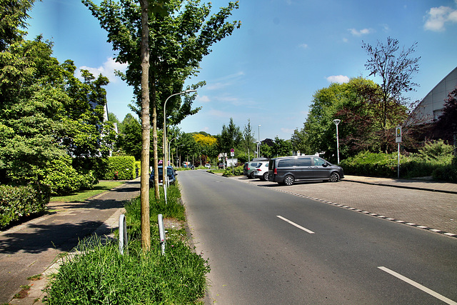 Parkstraße (Bottrop) / 11.05.2024