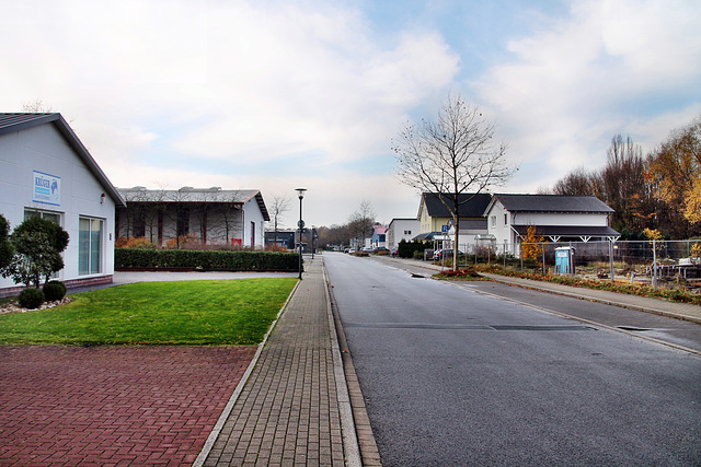 Nikolaus-Otto-Straße (Kamen-Heeren-Werve) / 25.11.2017